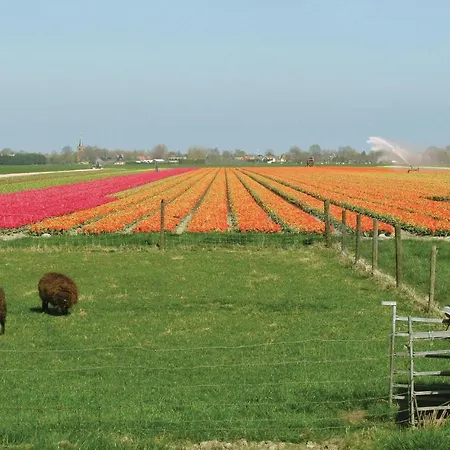 Farm Schellinkhout